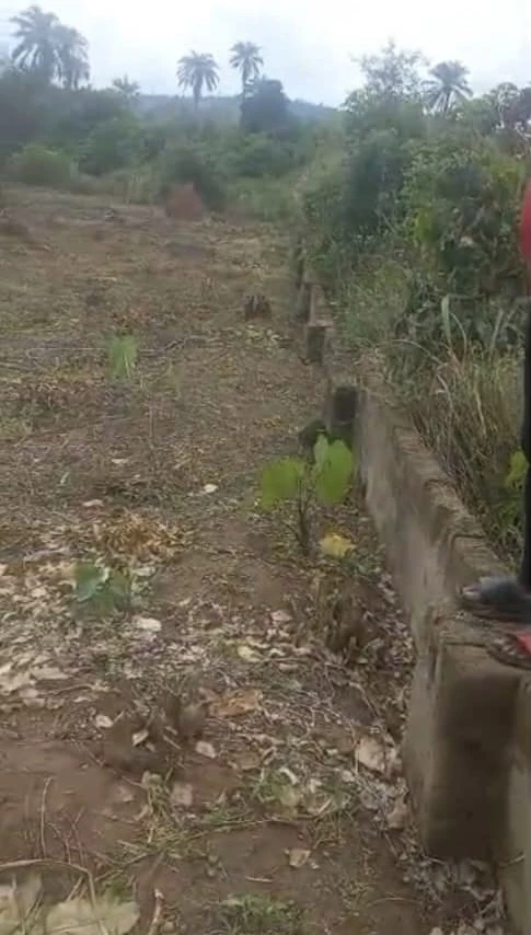 Land for Sale in Asaba, Delta - Image 2