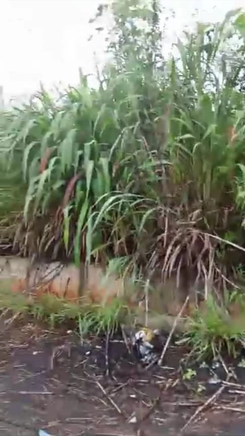 Land for Sale in Asaba, Delta - Image 2