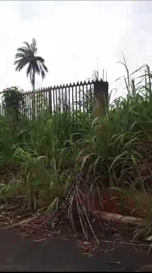 Land for Sale in Asaba, Delta - Image 1