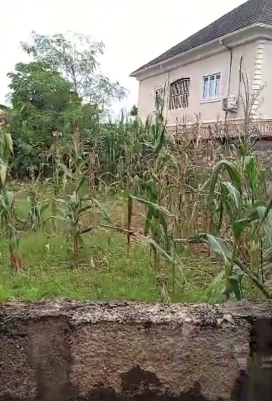 Land for Sale in Asaba, Delta - Image 1