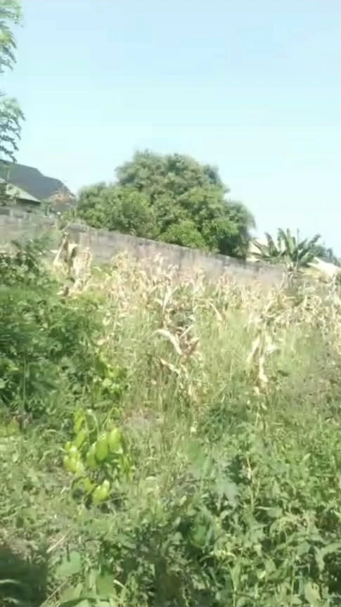 Land for Sale in Okpanam, Delta - Image 1