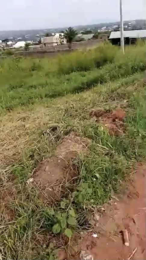 Land for Sale in Asaba, Delta - Image 1