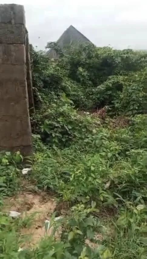 Land for Sale in Asaba, Delta - Image 1