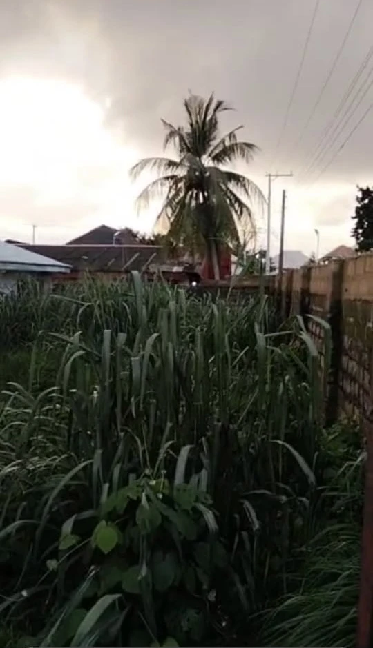Land for Sale in Asaba, Delta - Image 1