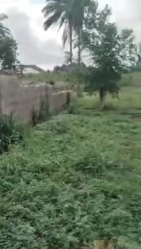 Land for Sale in Asaba, Delta - Image 2