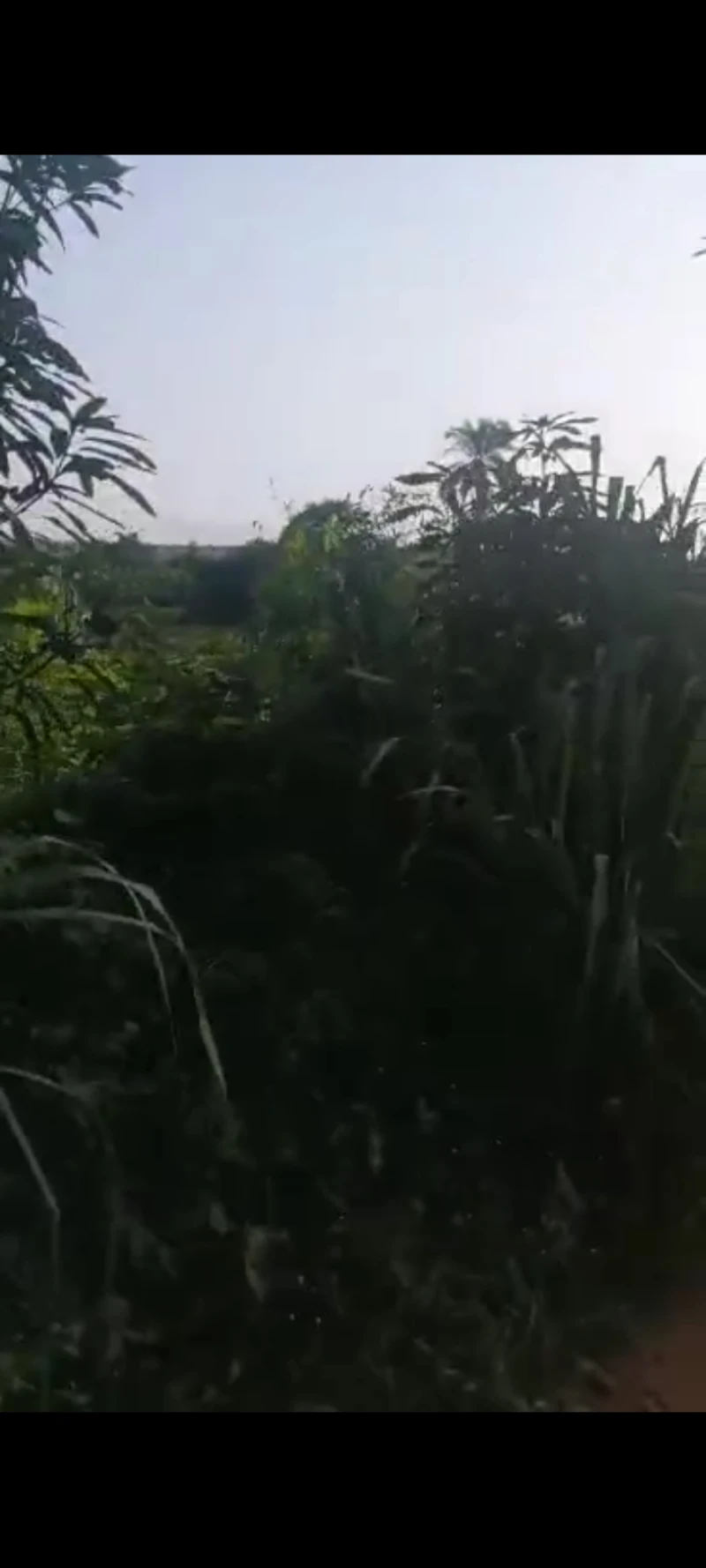 Land for Sale in Asaba, Delta - Image 2