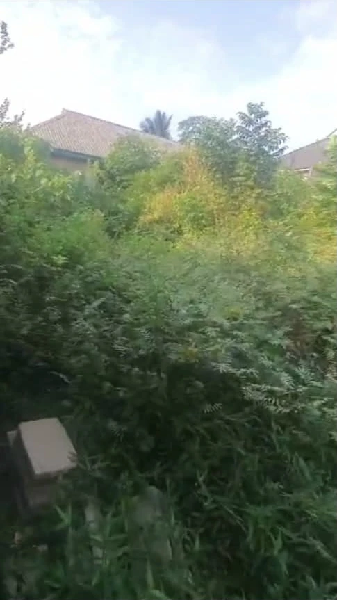 Land for Sale in Asaba, Delta cover picture