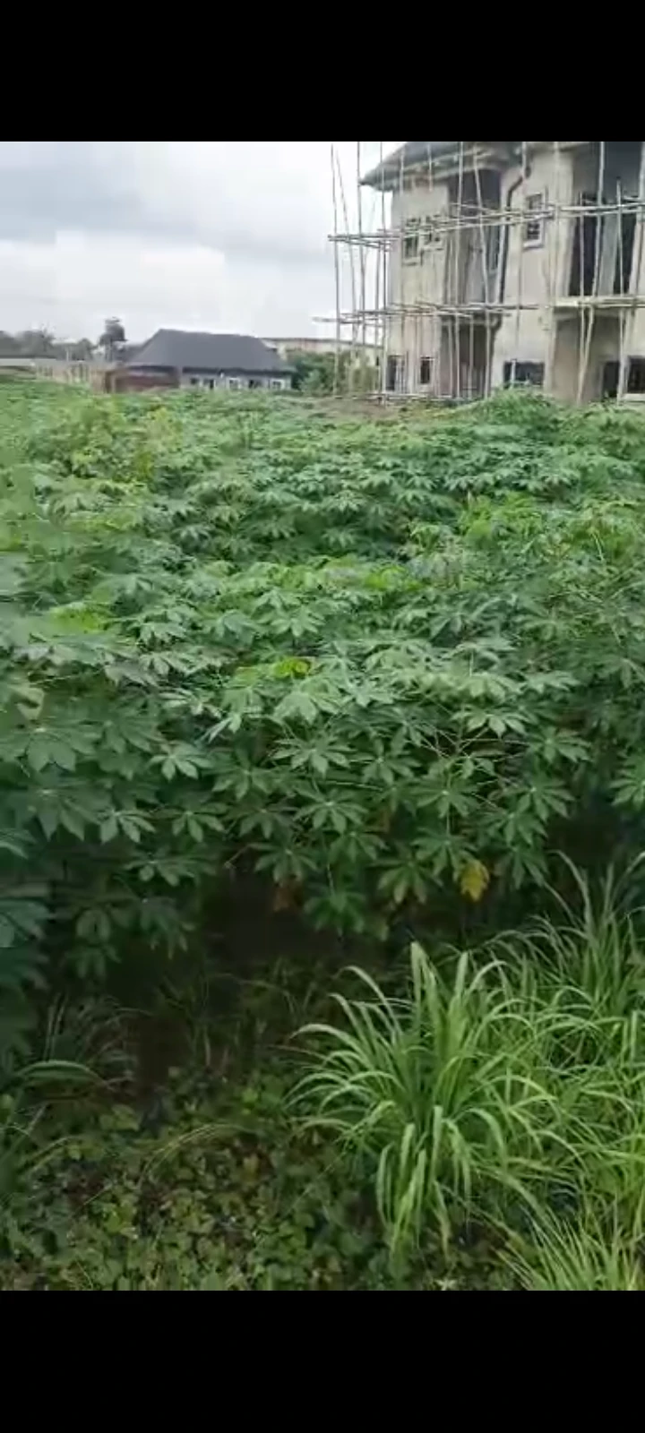 Land for Sale in Asaba, Delta cover picture