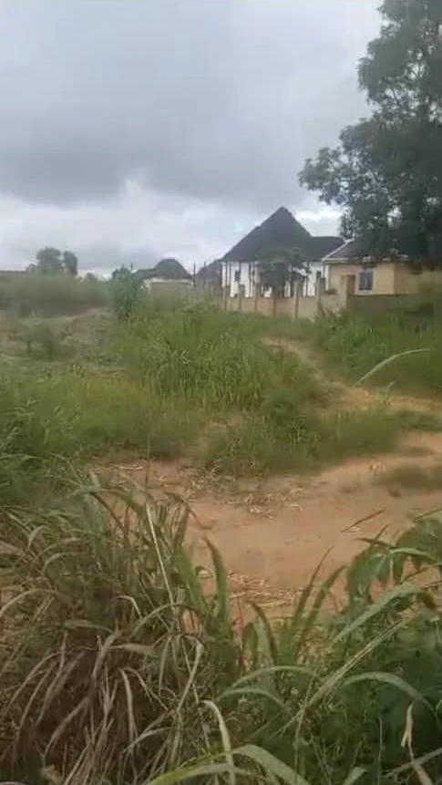 Land for Sale in Asaba, Delta cover picture