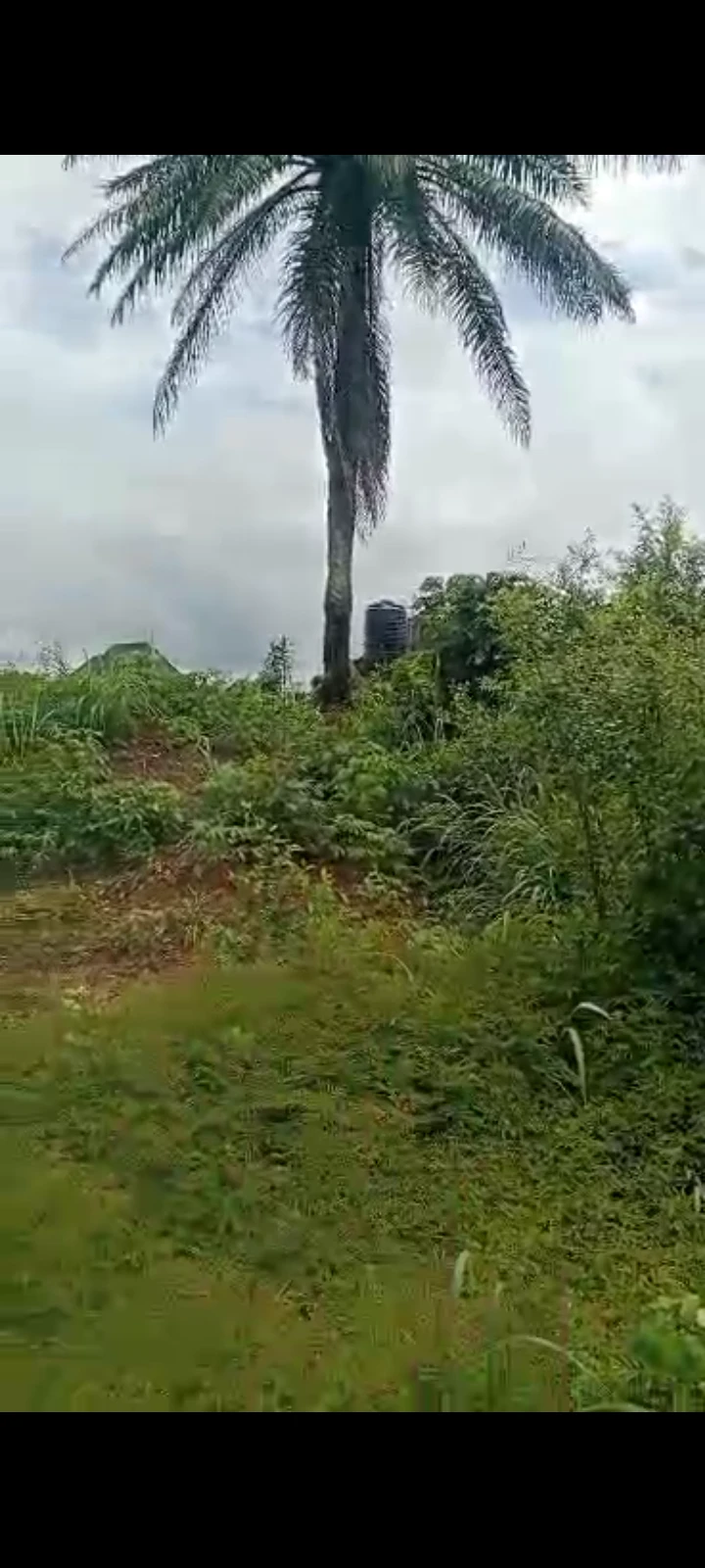 Land for Sale in Asaba, Delta cover picture