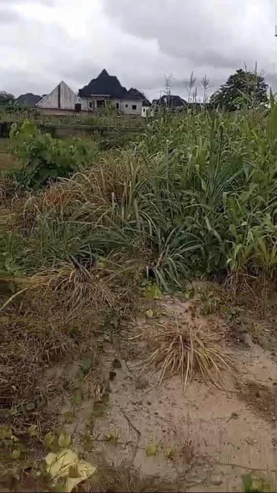 Land for Sale in Asaba, Delta cover picture