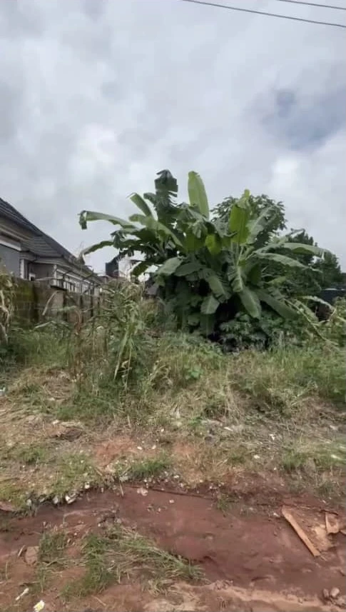 Land for Sale in Asaba, Delta cover picture