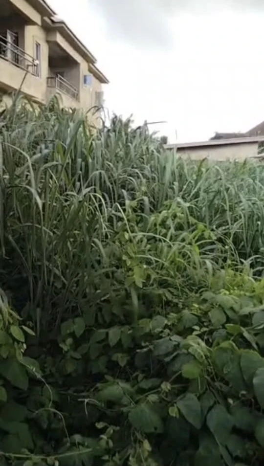 Land for Sale in Asaba, Delta cover picture