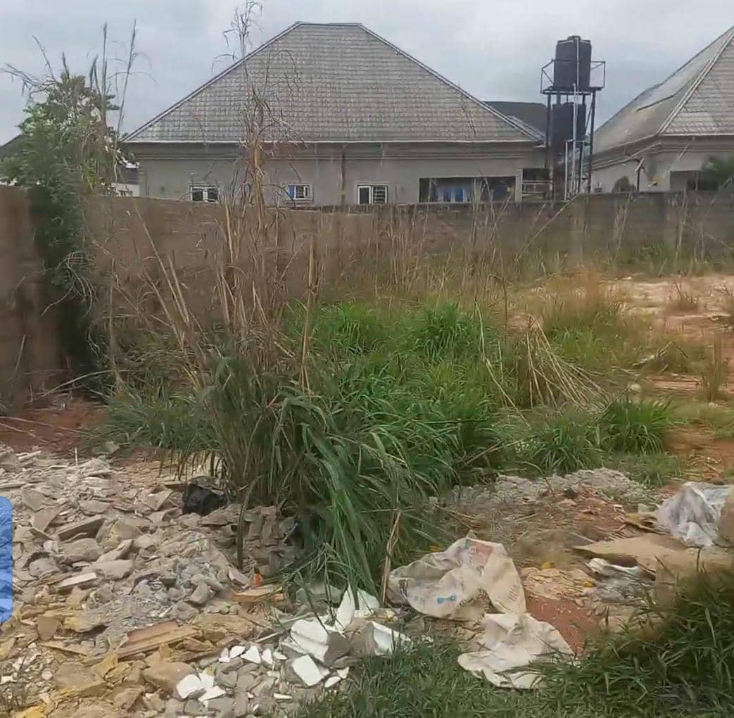 Land for Sale in Nwawolor, Delta cover picture