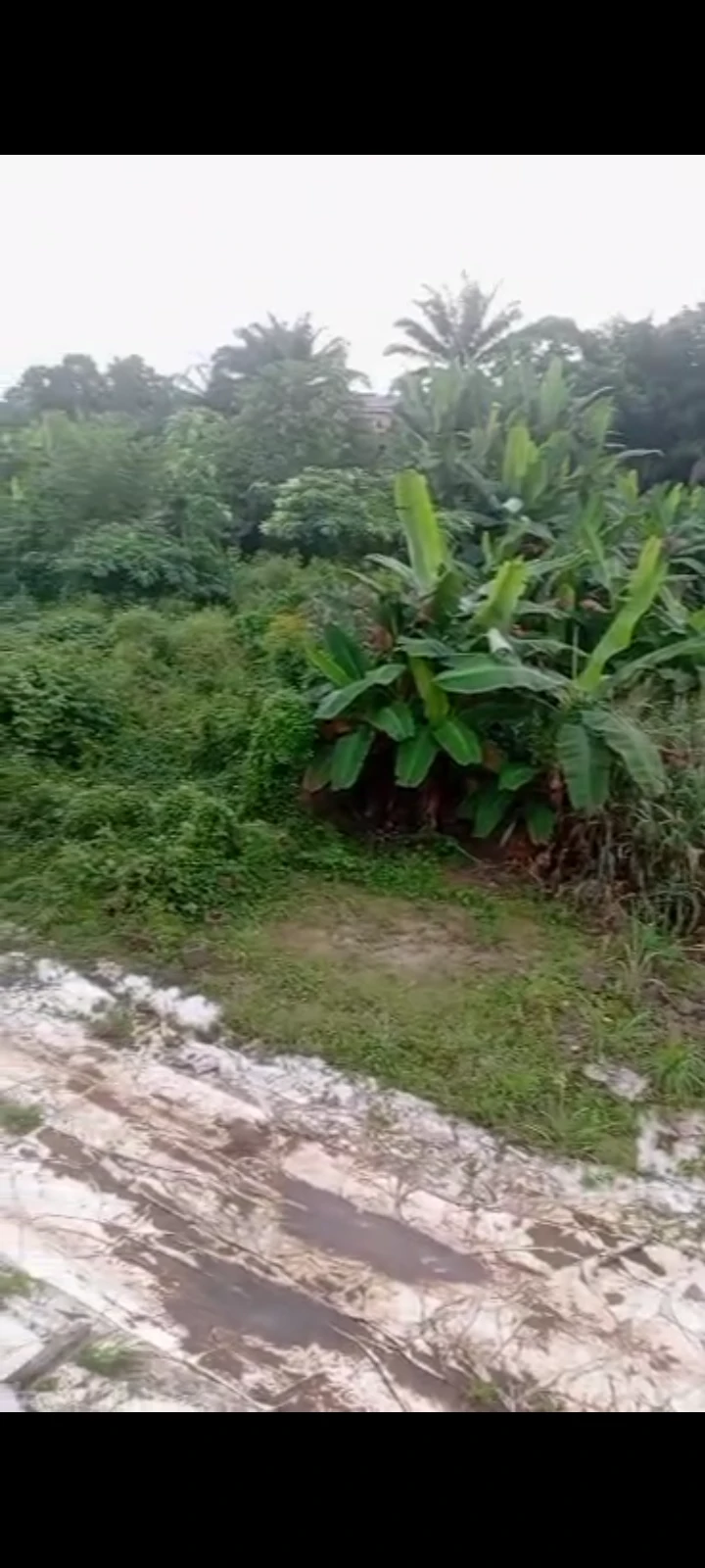 Land for Sale in Asaba, Delta cover picture