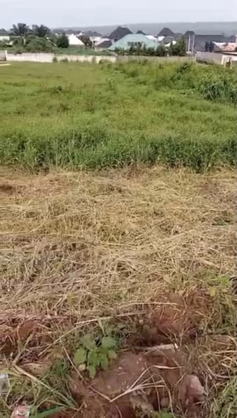 Land for Sale in Asaba, Delta cover picture