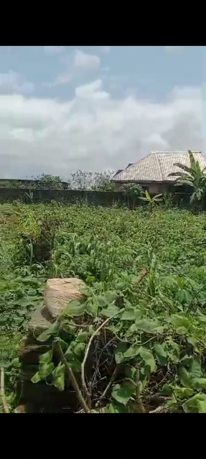 Land for Sale in Asaba, Delta cover picture