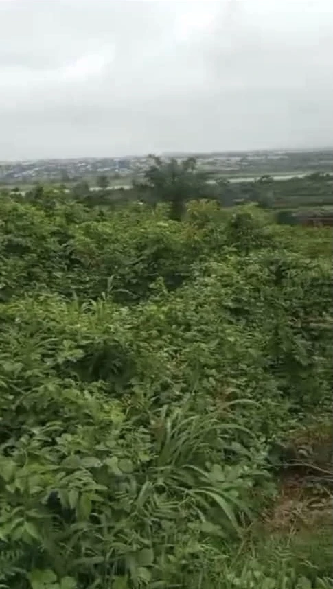 Land for Sale in Asaba, Delta cover picture