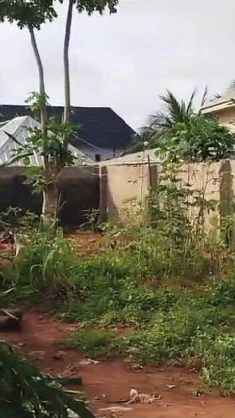 Land for Sale in Asaba, Delta cover picture