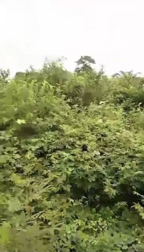 Land for Sale in Asaba, Delta cover picture