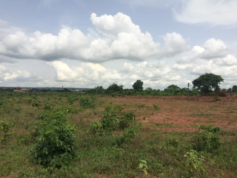 Land for Sale in Millers Street Coker, Delta cover picture