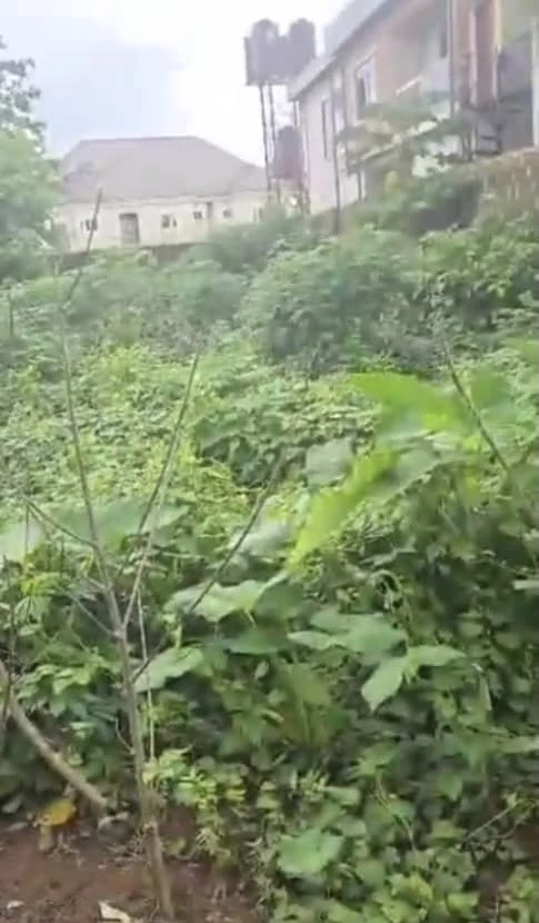 Land for Sale in Asaba, Delta cover picture