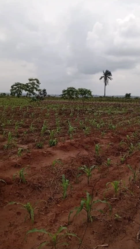 Land for Sale in Asaba, Delta cover picture
