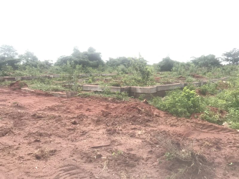 Land for Sale in Umuonisha Quarters, Ogwashi Uku, Delta cover picture