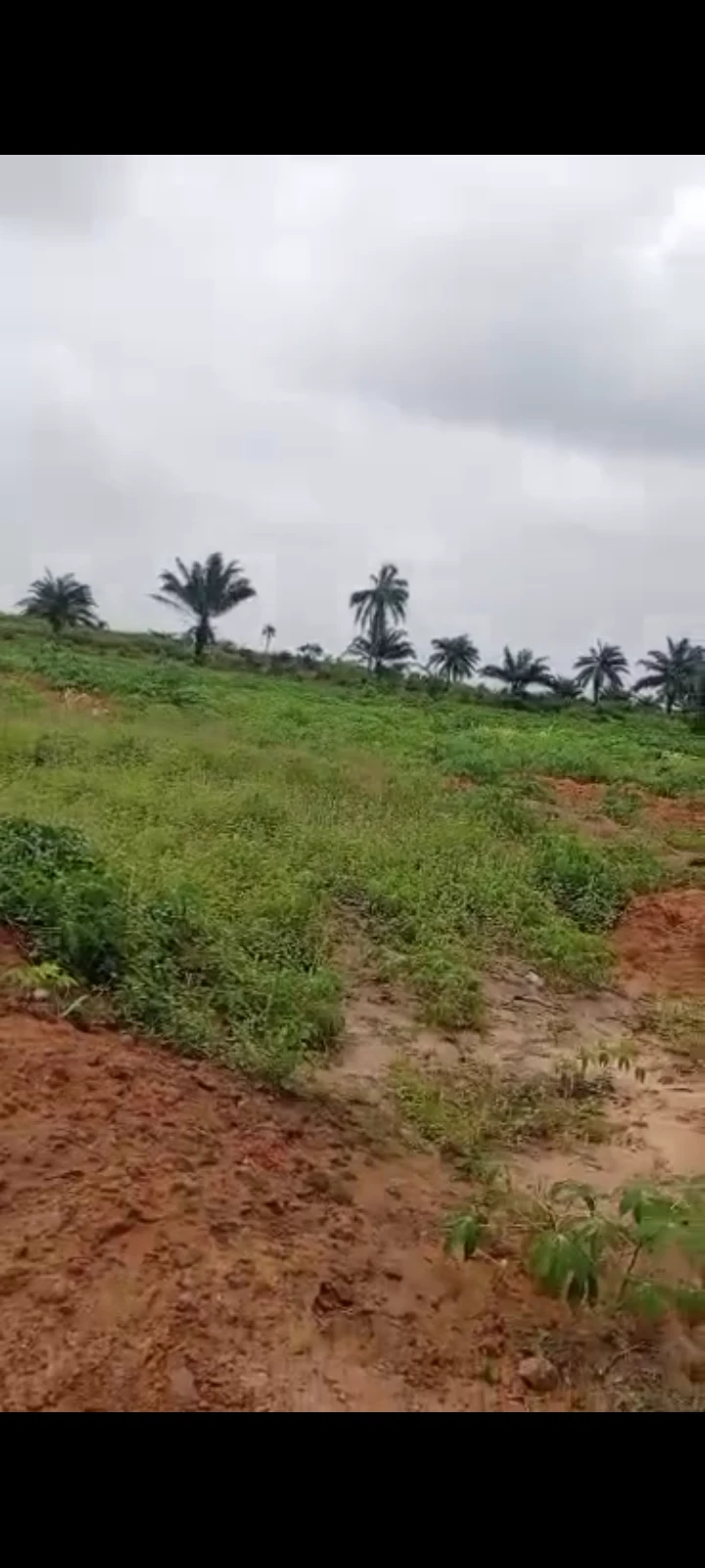 Land for Sale in Asaba, Delta cover picture