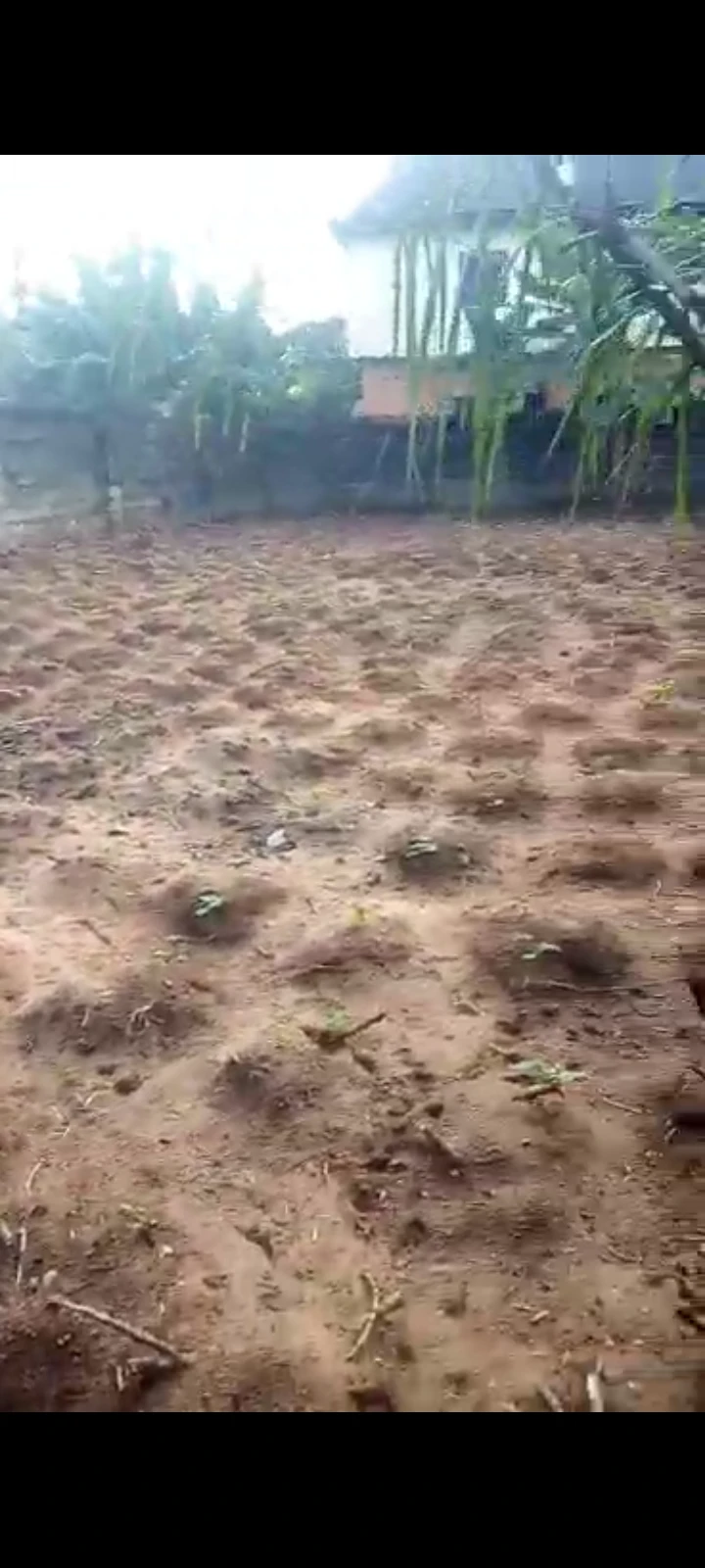 Land for Sale in Asaba, Delta cover picture