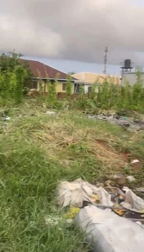 Land for Sale in Asaba, Delta cover picture