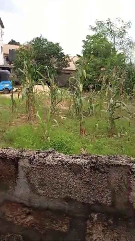 Land for Sale in Asaba, Delta cover picture