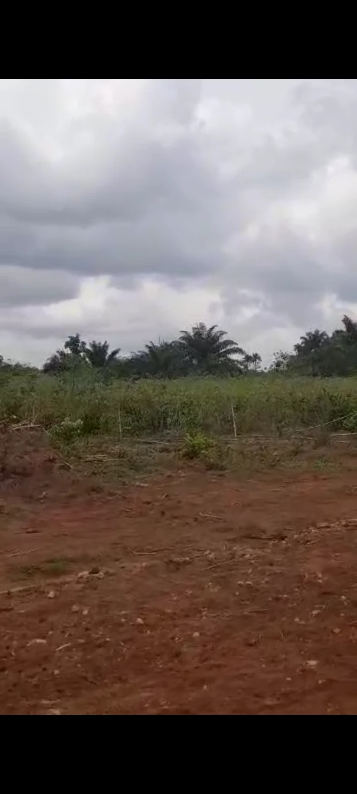 Land for Sale in Ubulu okiti, Delta cover picture