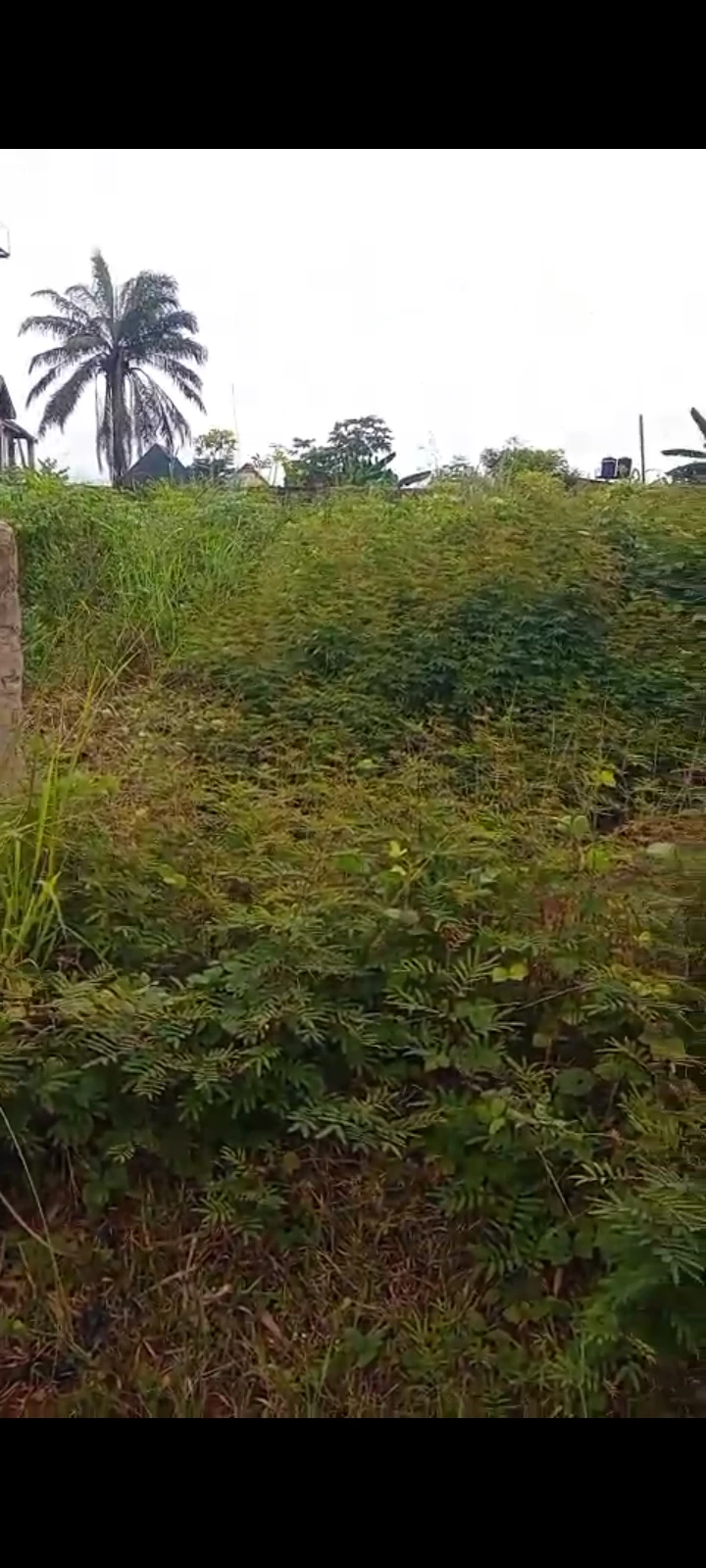 Land for Sale in Okpanam, Delta cover picture