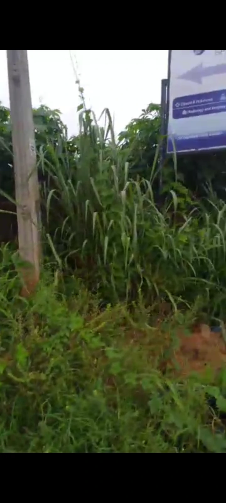 Land for Sale in Asaba, Delta cover picture