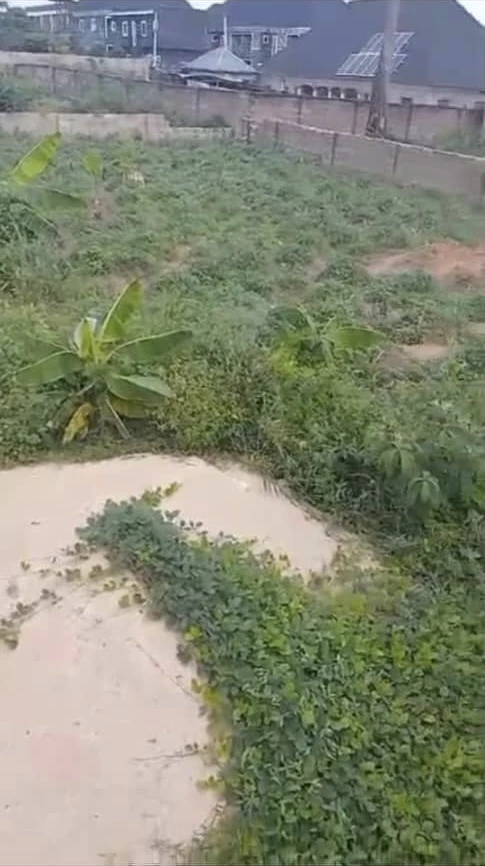 Land for Sale in Asaba, Delta cover picture