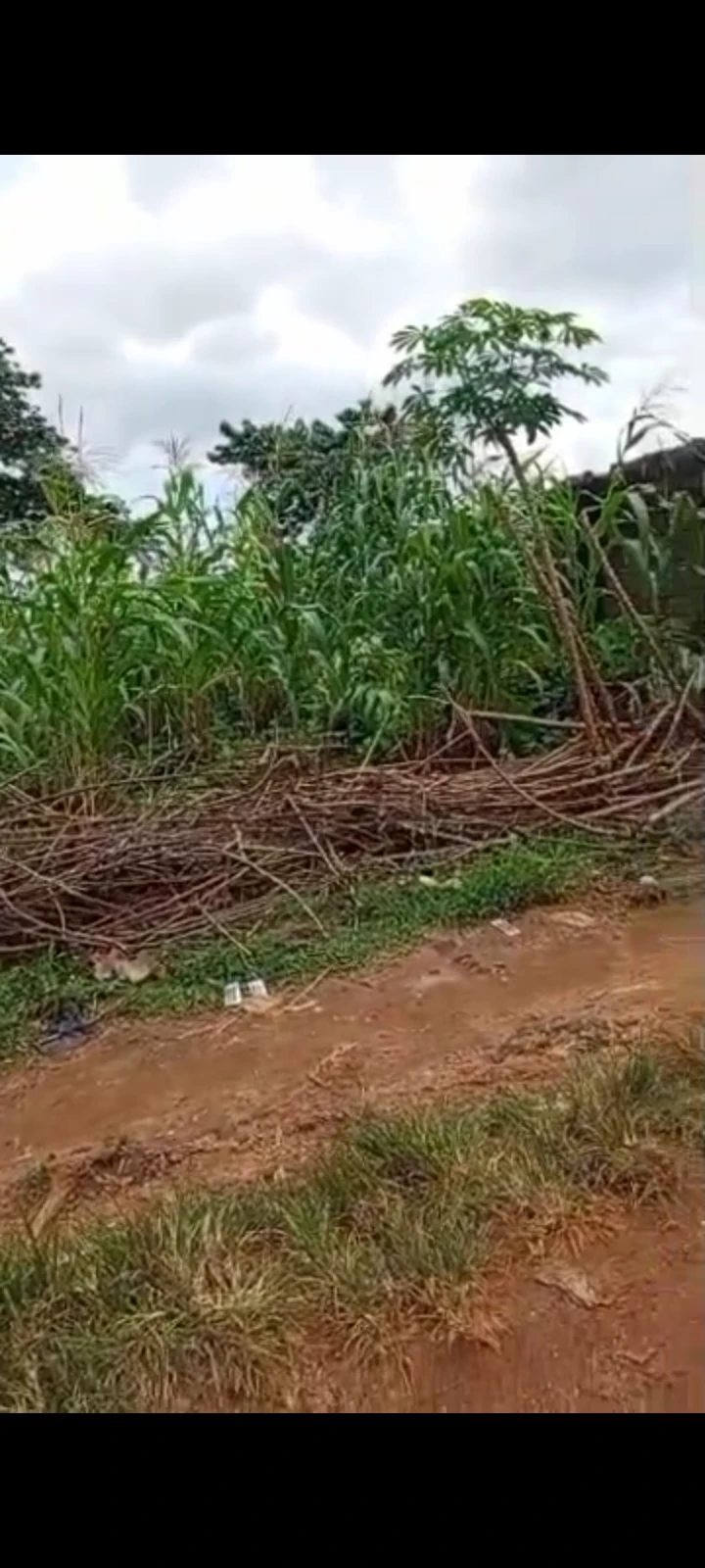 Land for Sale in Asaba, Delta cover picture