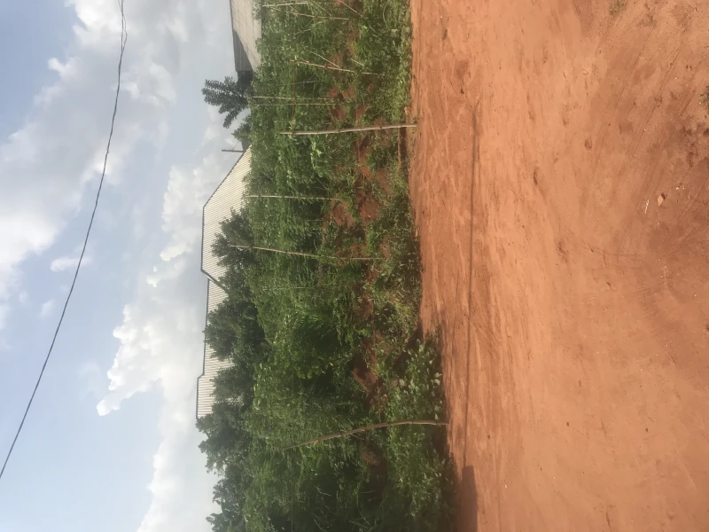 Land for Sale in Ibusa, Delta