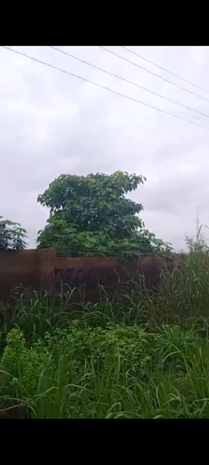 Land for Sale in Asaba, Delta cover picture