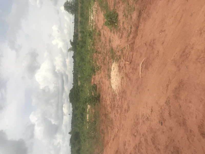 Land for Sale in Ogwashi Uku, Delta cover picture