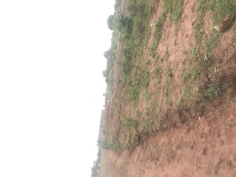 Land for Sale in 135 Bus Stop, Ebonyi cover picture