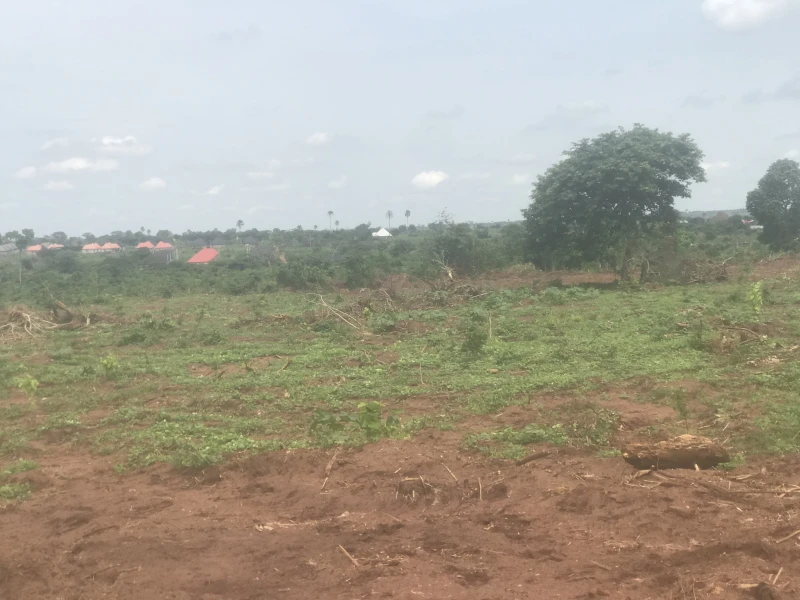 Land for Sale in Beside Asaba International Airport, Delta