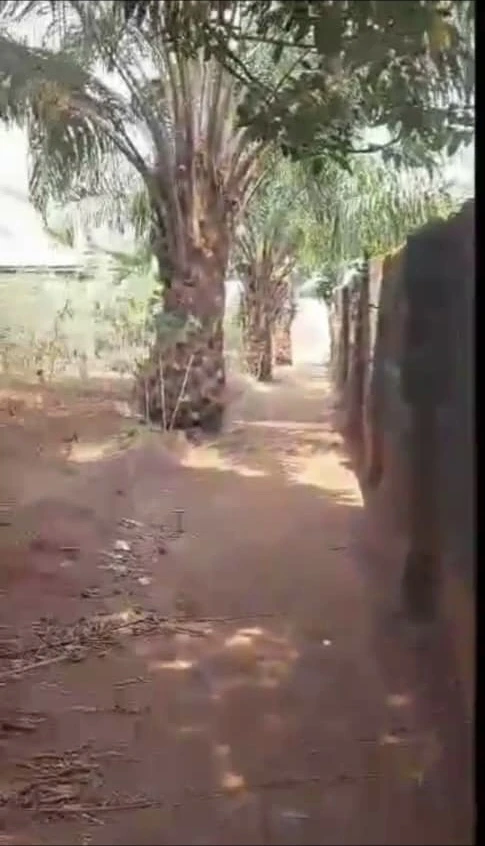 Land for Sale in Iselle Azagba, Delta cover picture