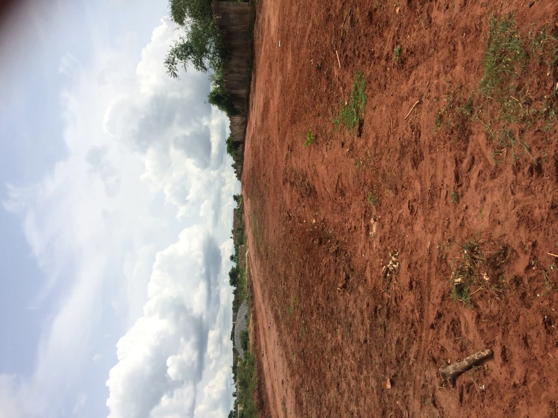 Land for Sale in Trans Ekulu, Enugu cover picture