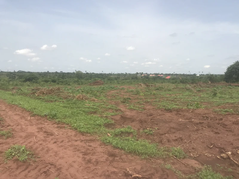 Land for Sale in Olodu, Delta