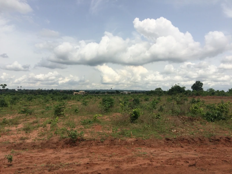 Land for Sale in Azagba Ogwashi Opposite Iron Company,Beside Family Homes, Delta cover picture