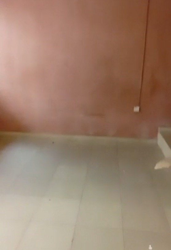 residential for rent in New Haven Extension, Enugu