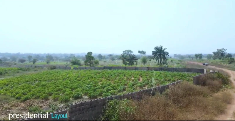 Land for Sale in Nkwubor, Enugu - Image 6