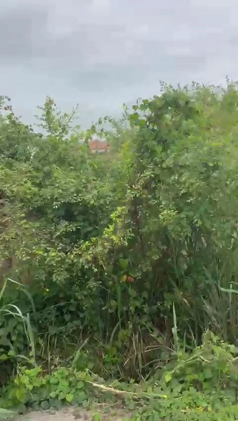 Land for Sale in Golf estate, Enugu - Image 3