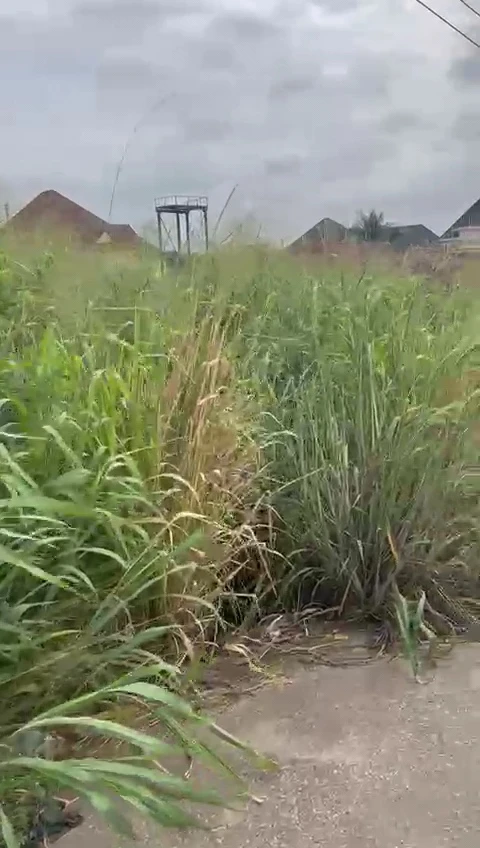 Land for Sale in Golf estate, Enugu - Image 3